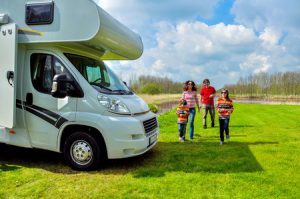 Best Cat Enclosures for Caravans