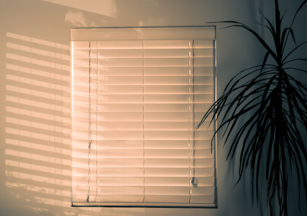 How To Cat Proof Venetian Blinds Without Hassle Feline Follower